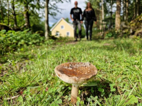 Gula huset i skogen- Skogsbruk & logi på Linderödsåsen in Hörby
